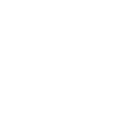 noeFly's profile picture